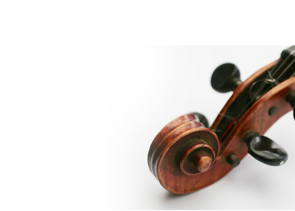 viola