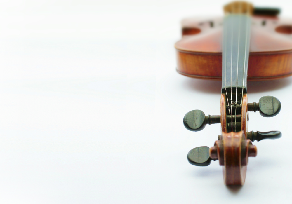 viola