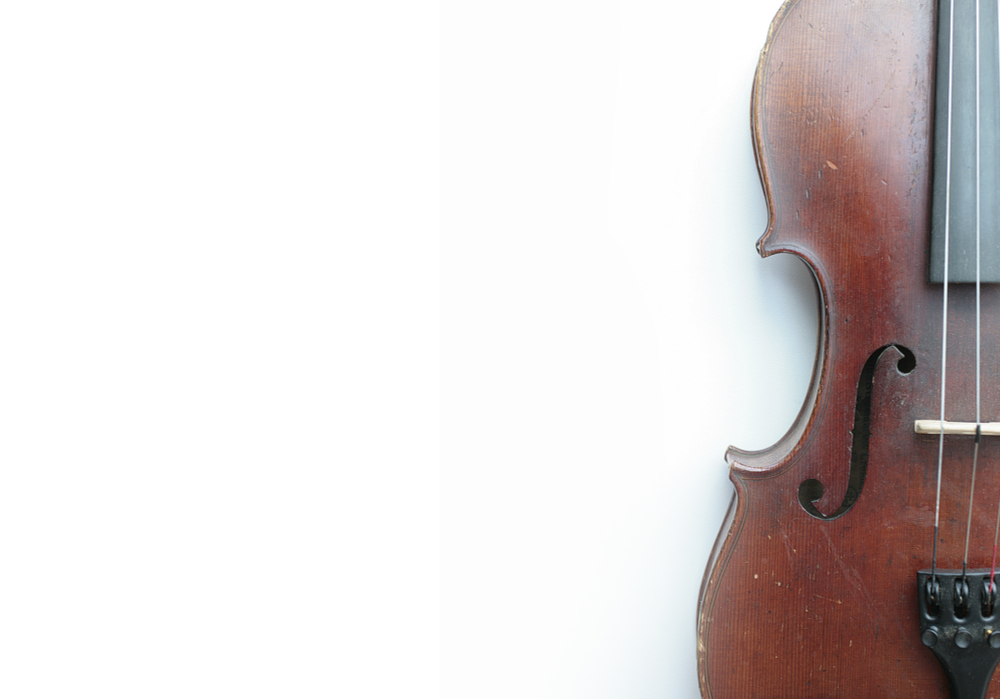 viola