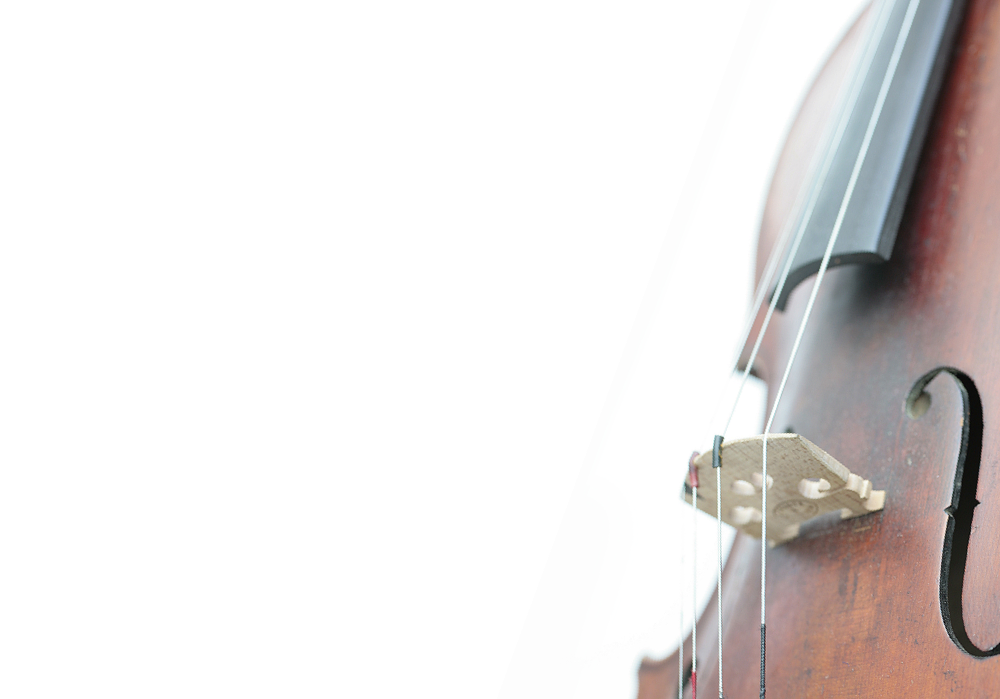 viola