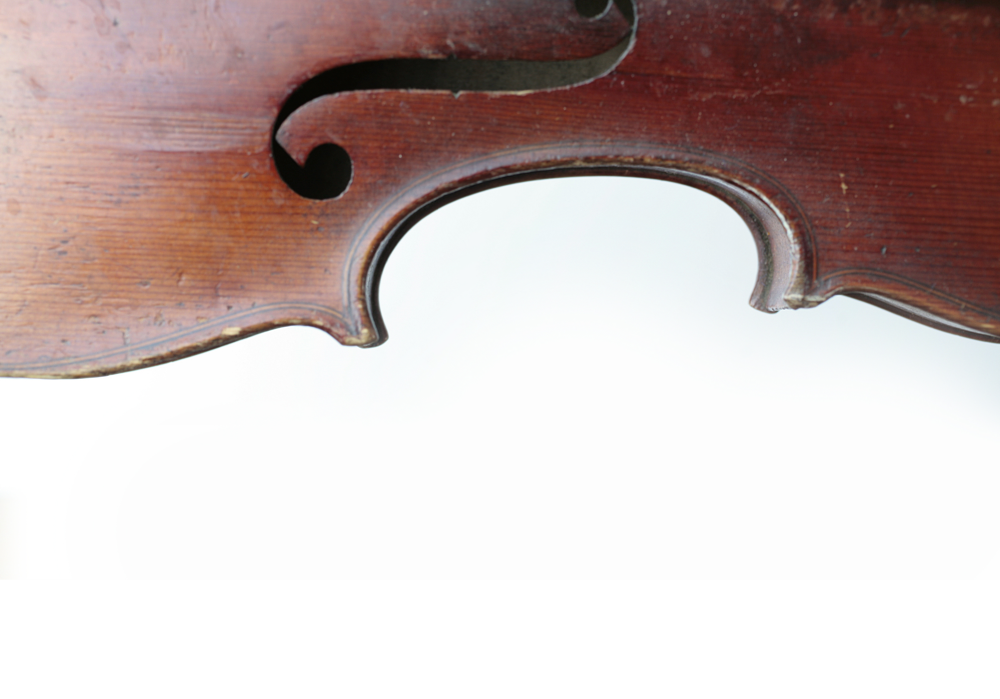 viola